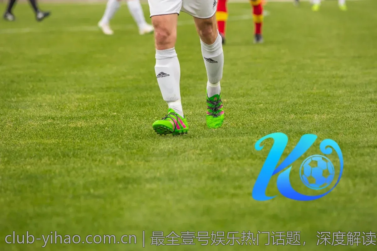 最全壹号娱乐热门话题，深度解读现状与未来
